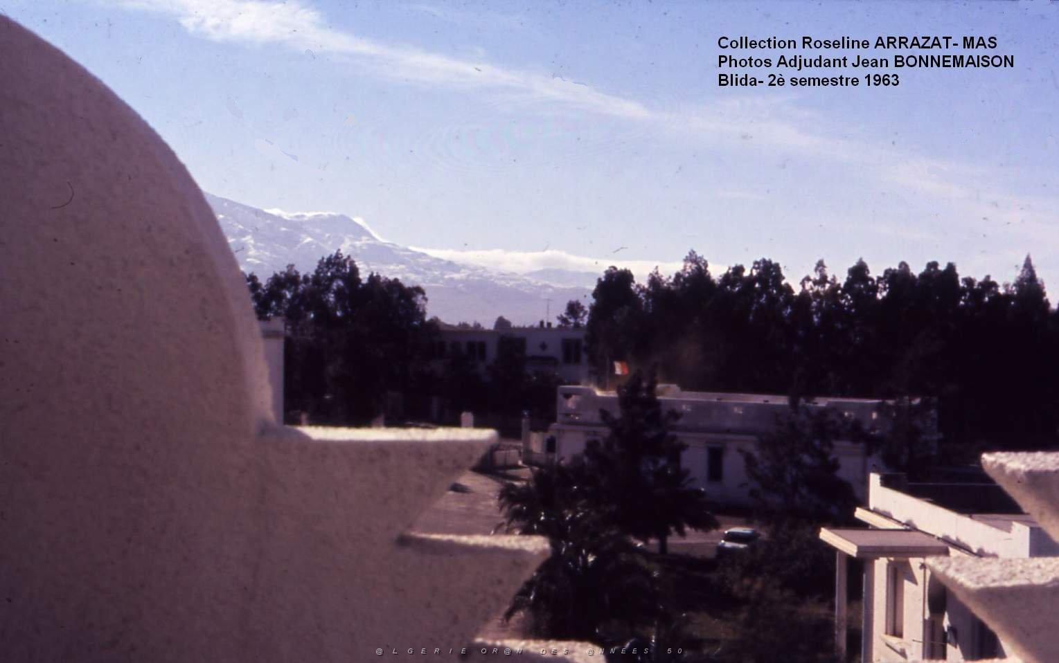 Mas- 141- Blida.jpg